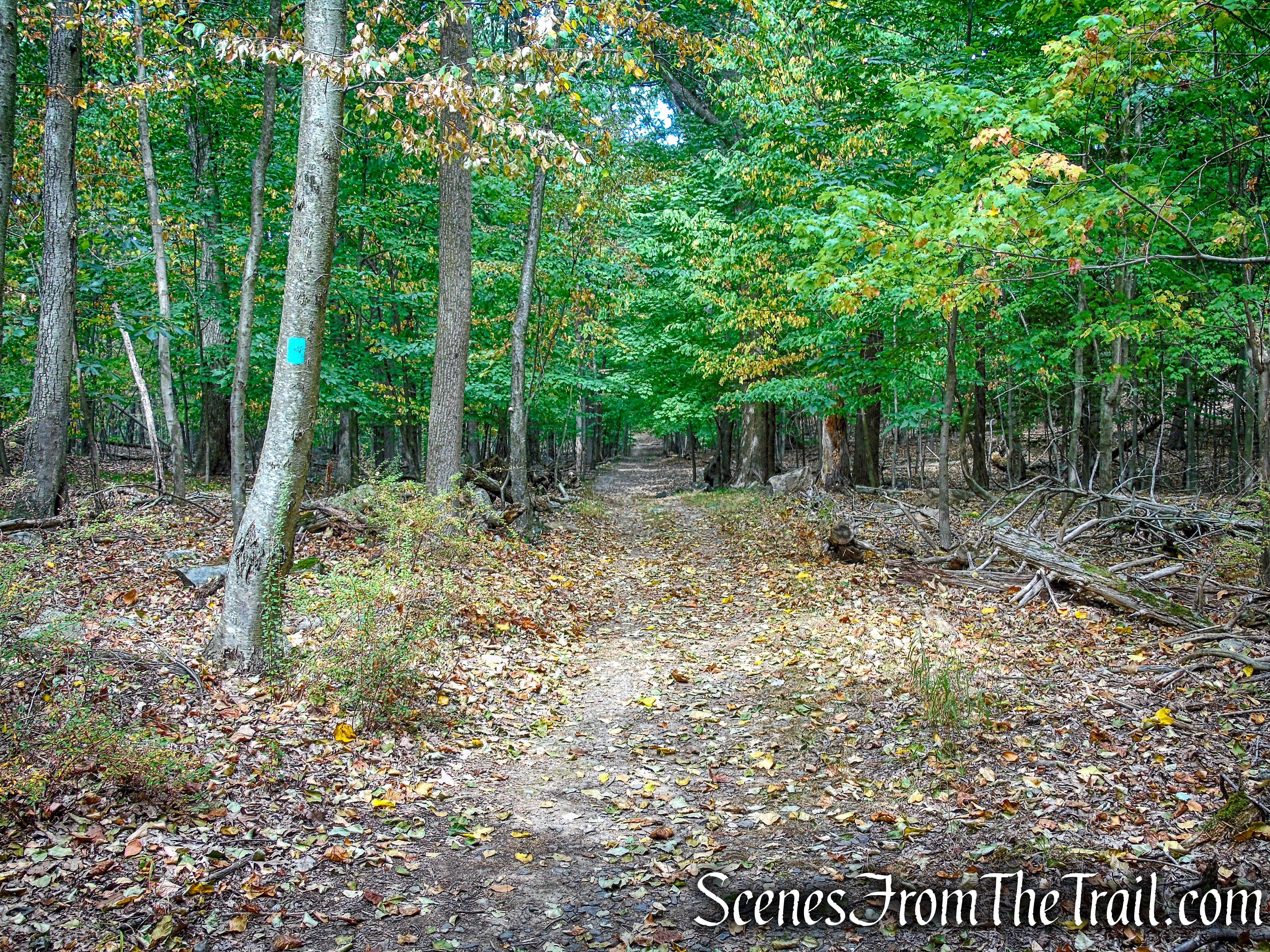 Long Path - High Tor State Park