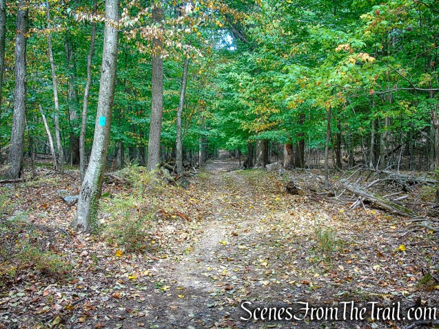 Long Path - High Tor State Park