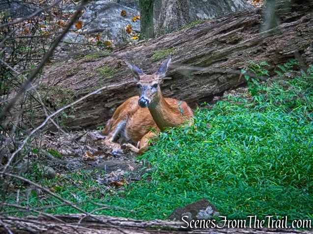 Long Path - High Tor State Park