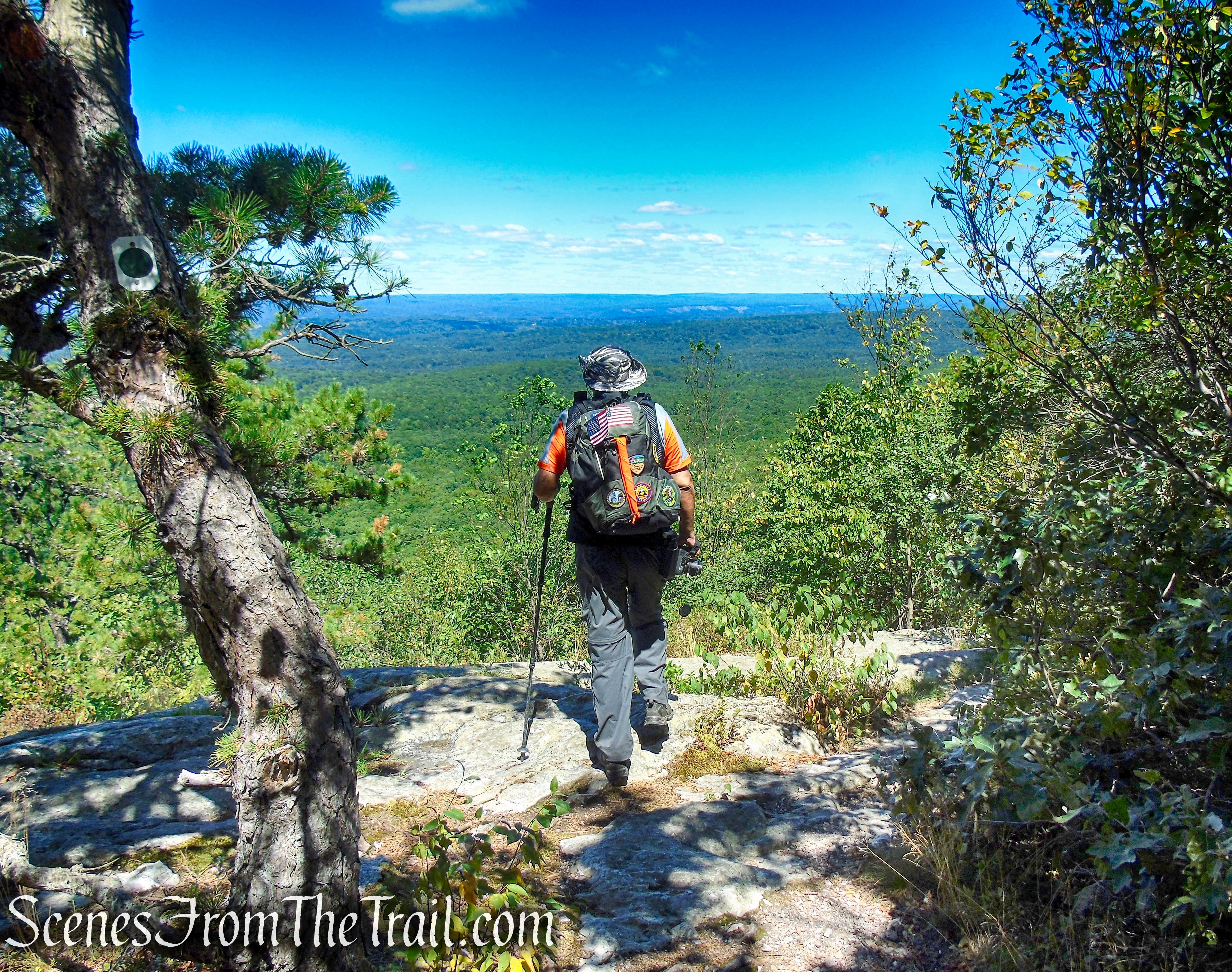Tower Trail - Stokes State Forest