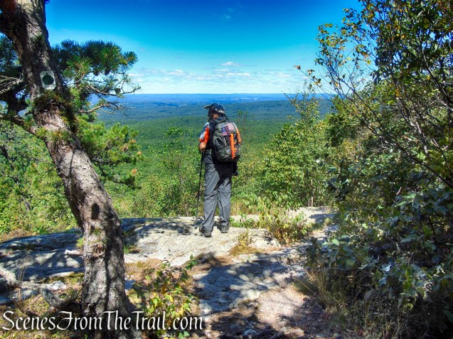 Culver Fire Tower from Stony Lake – Stokes State Forest
