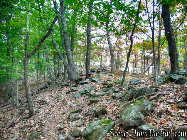 Long Path - South Mountain County Park