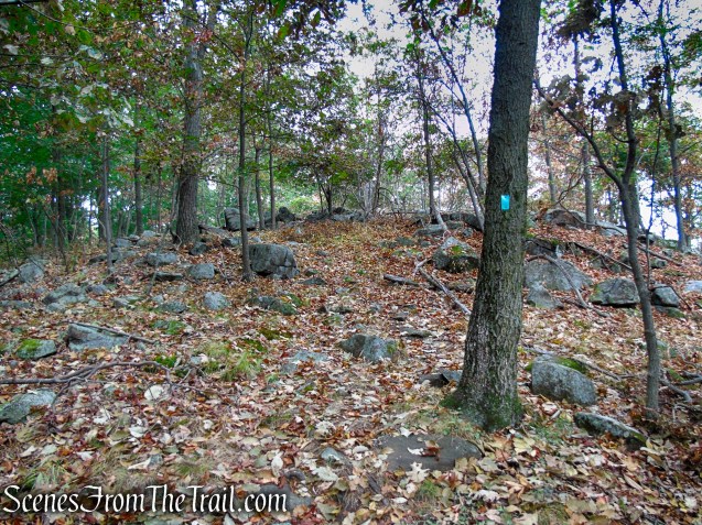 Long Path - South Mountain County Park