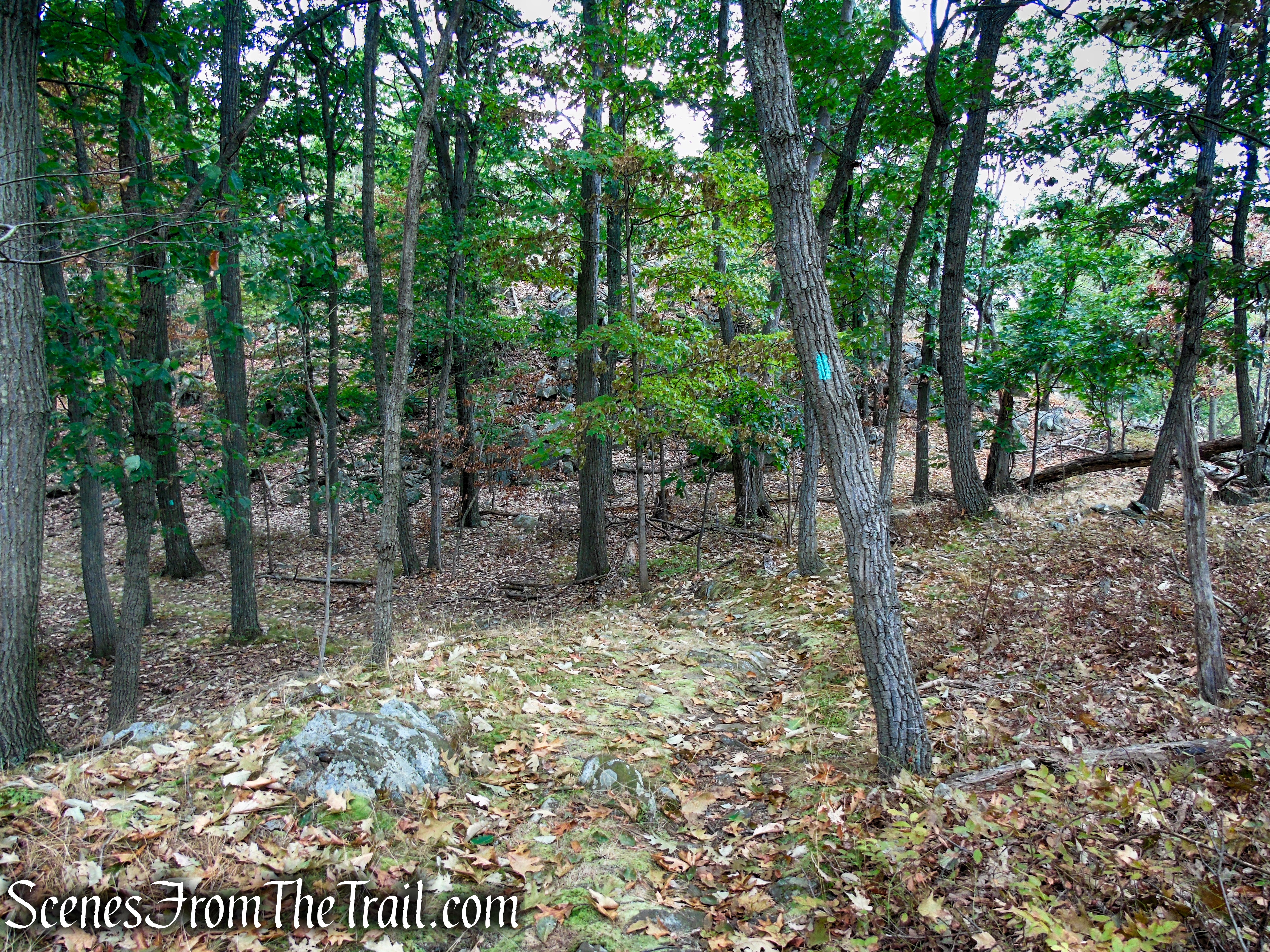 Long Path - South Mountain County Park