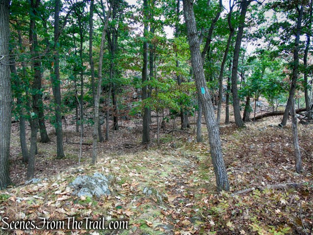 Long Path - South Mountain County Park