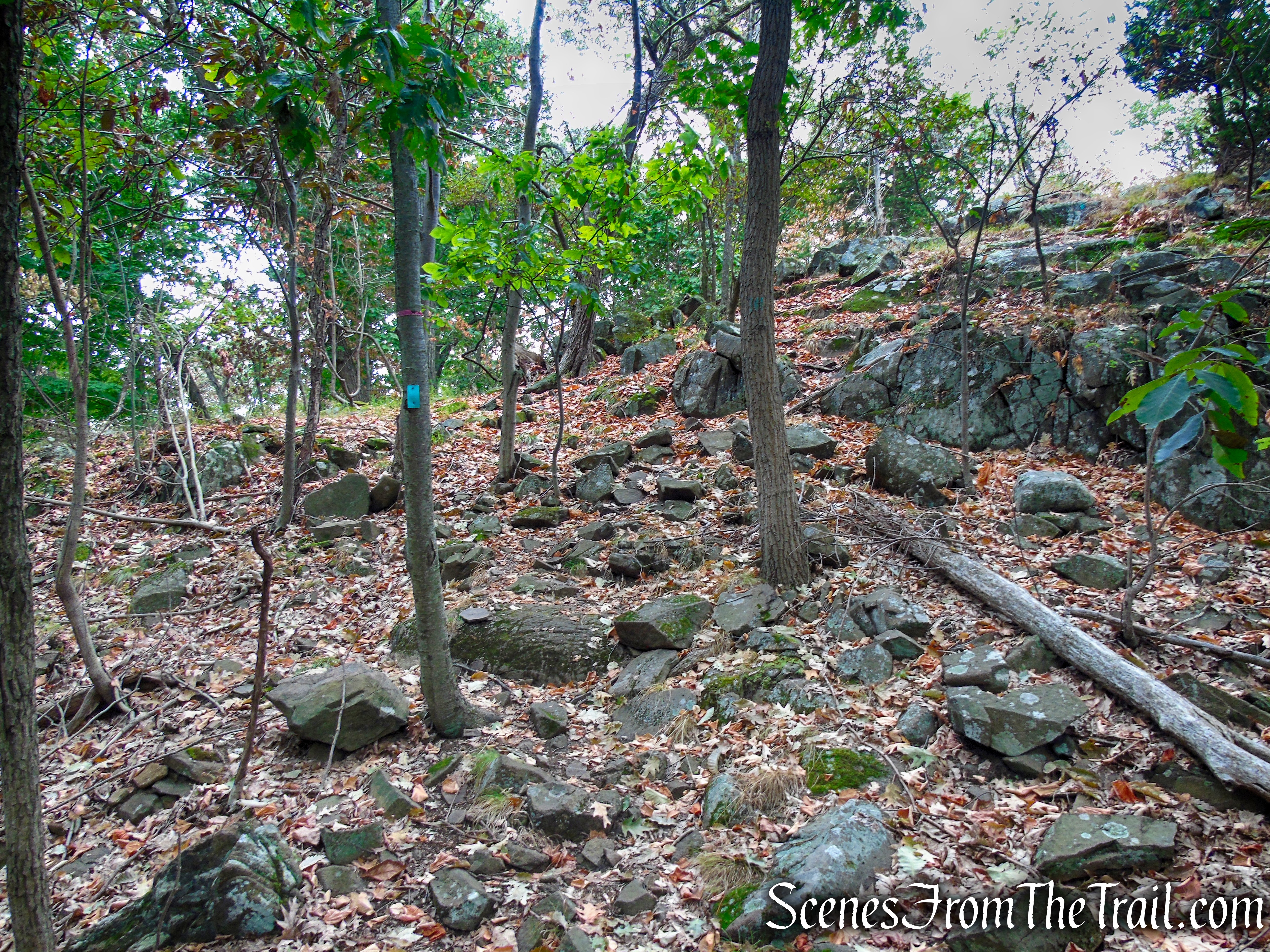 Long Path - South Mountain County Park