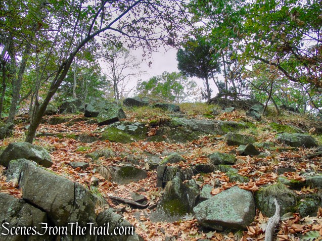 Long Path - South Mountain County Park