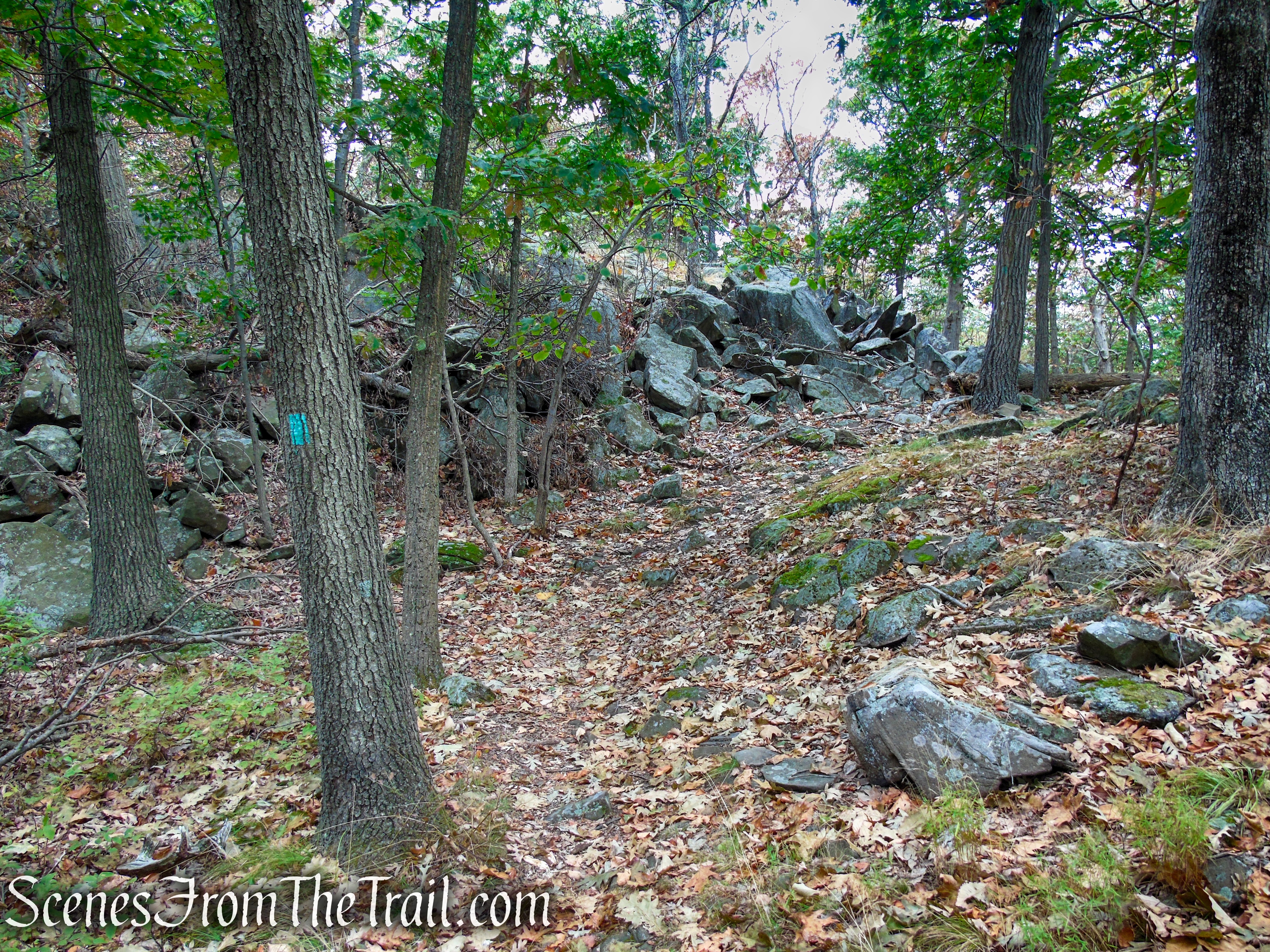 Long Path - South Mountain County Park