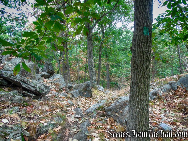 Long Path - South Mountain County Park