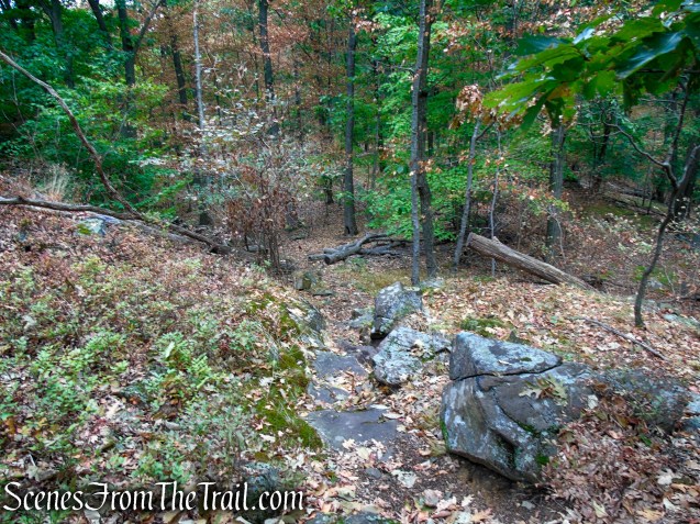 Long Path - South Mountain County Park