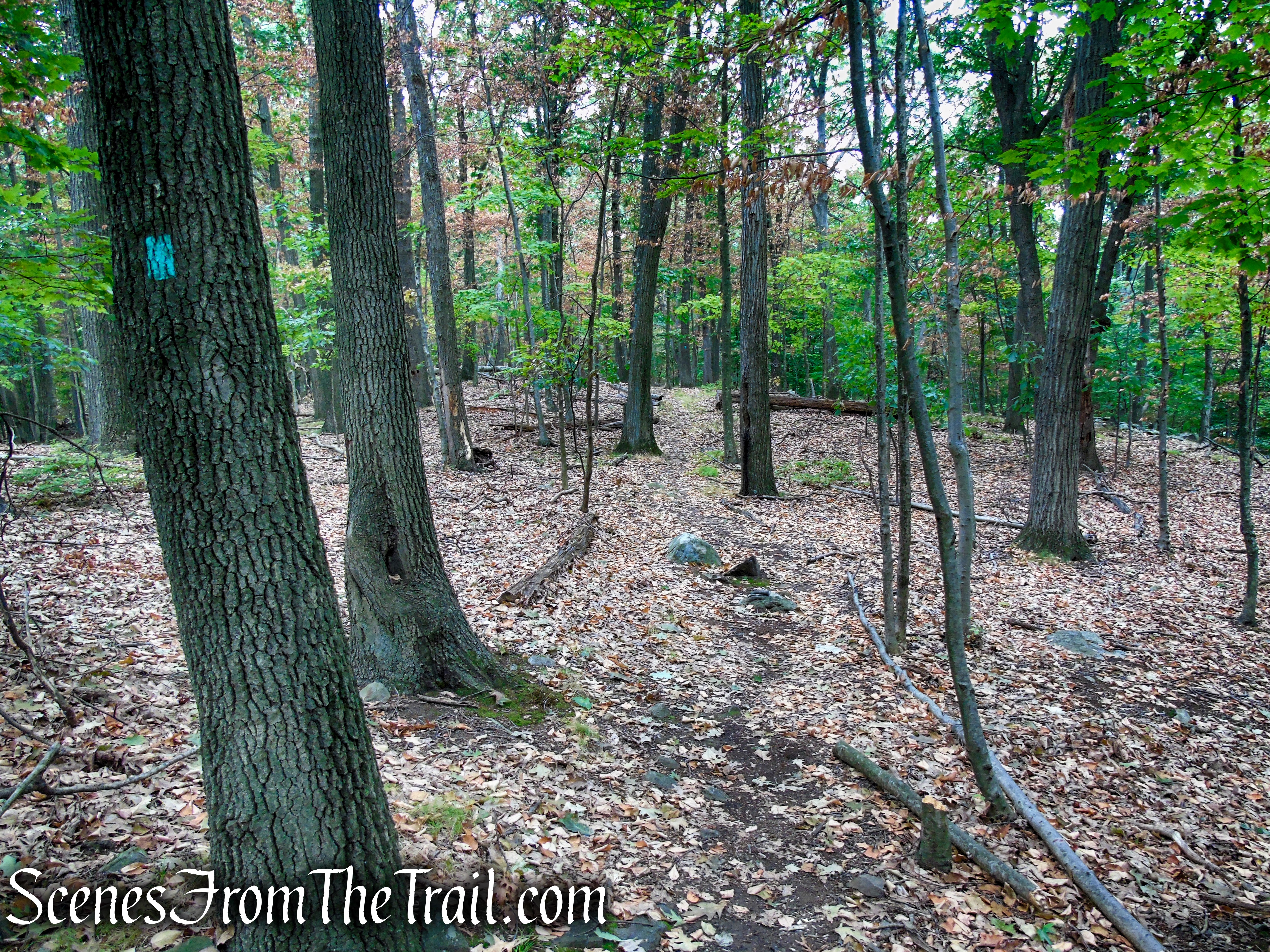 Long Path - South Mountain County Park