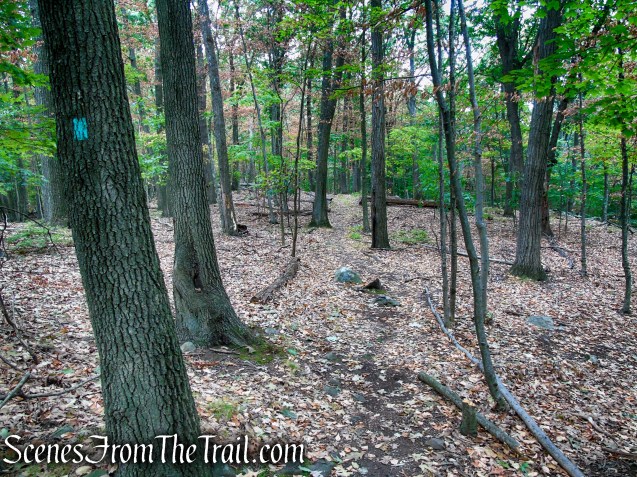 Long Path - South Mountain County Park