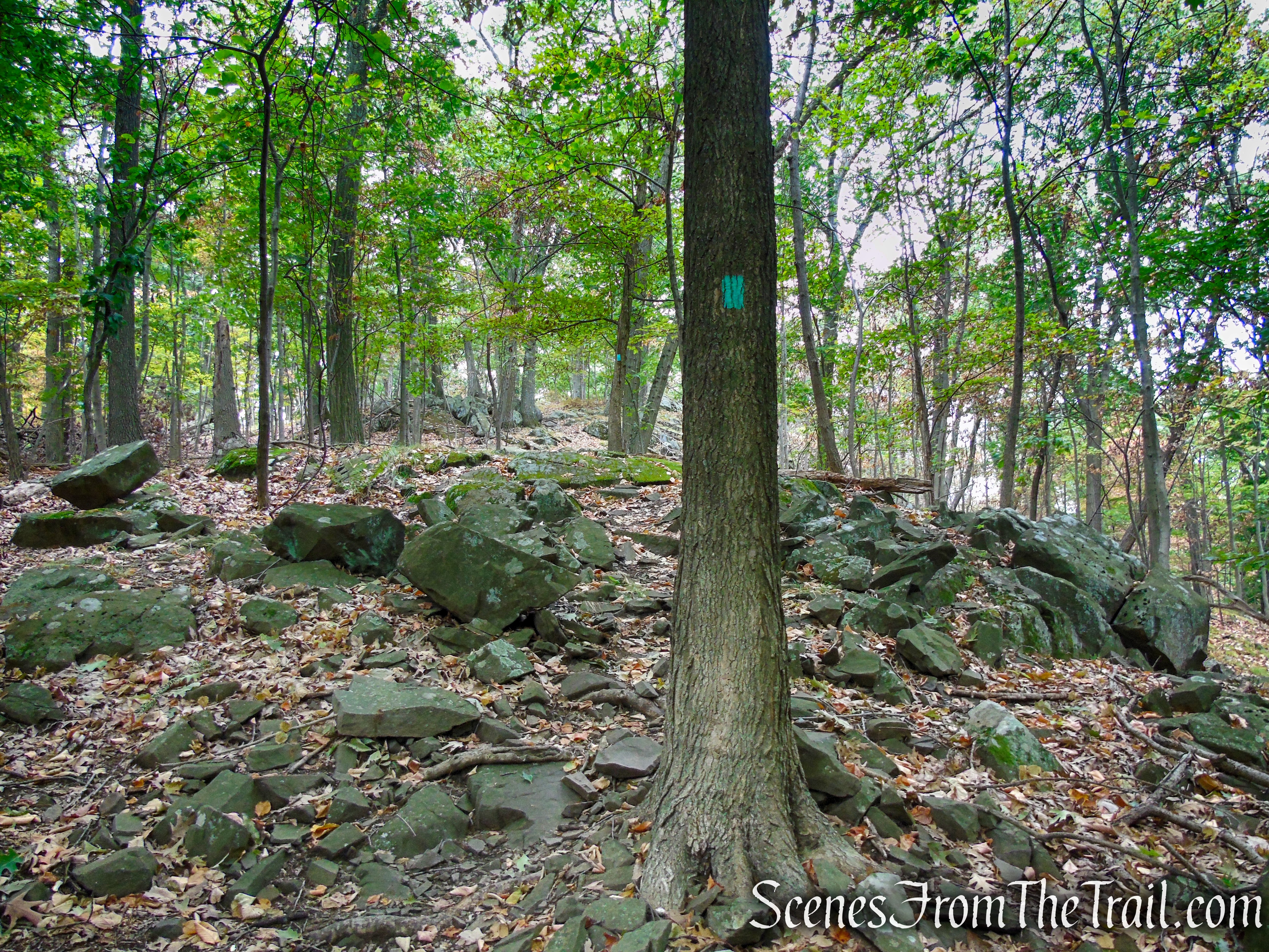 Long Path - South Mountain County Park