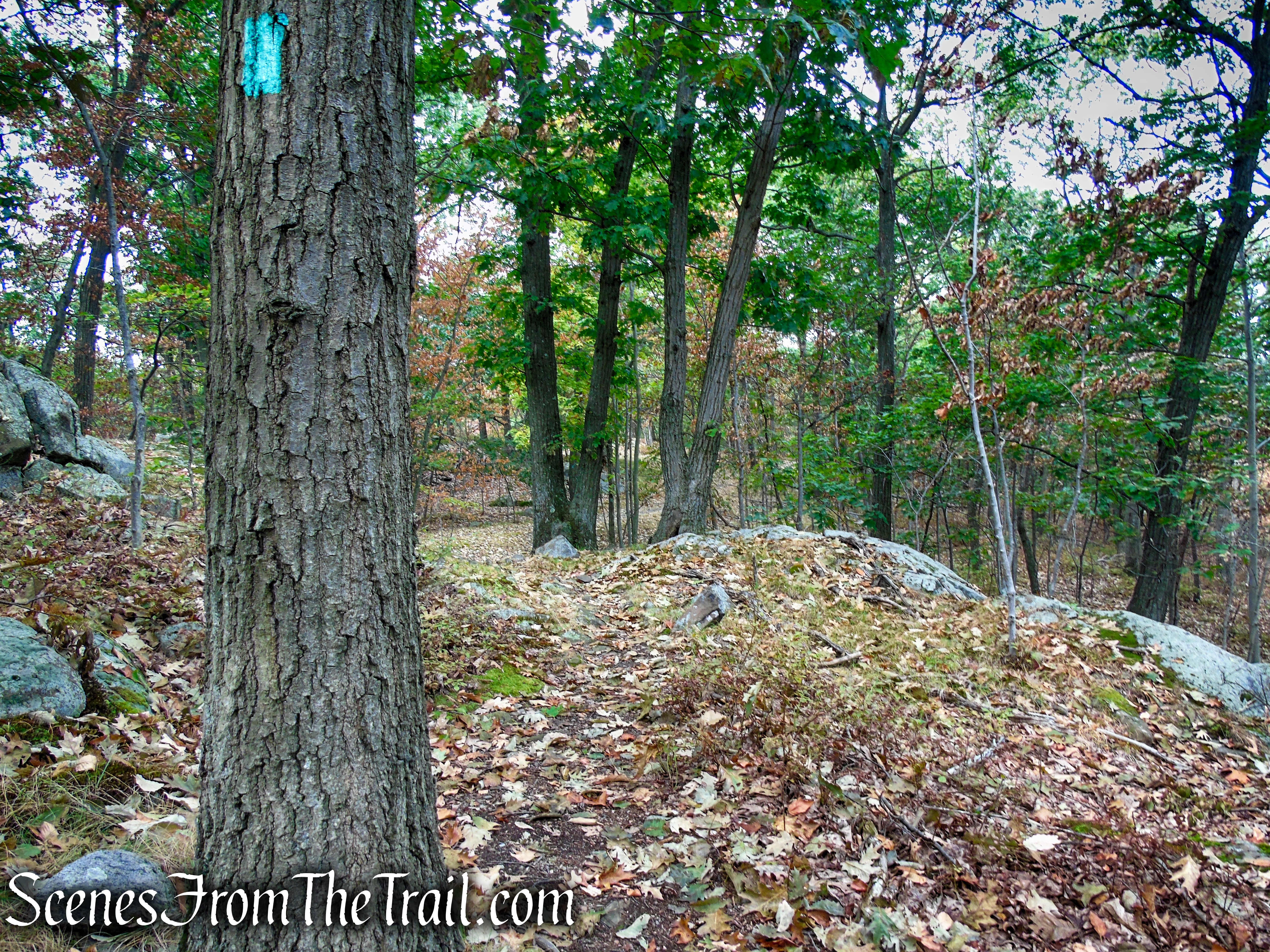 Long Path - South Mountain County Park