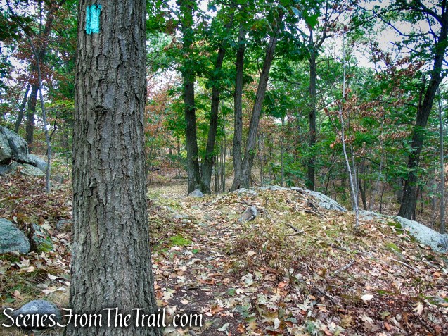 Long Path - South Mountain County Park