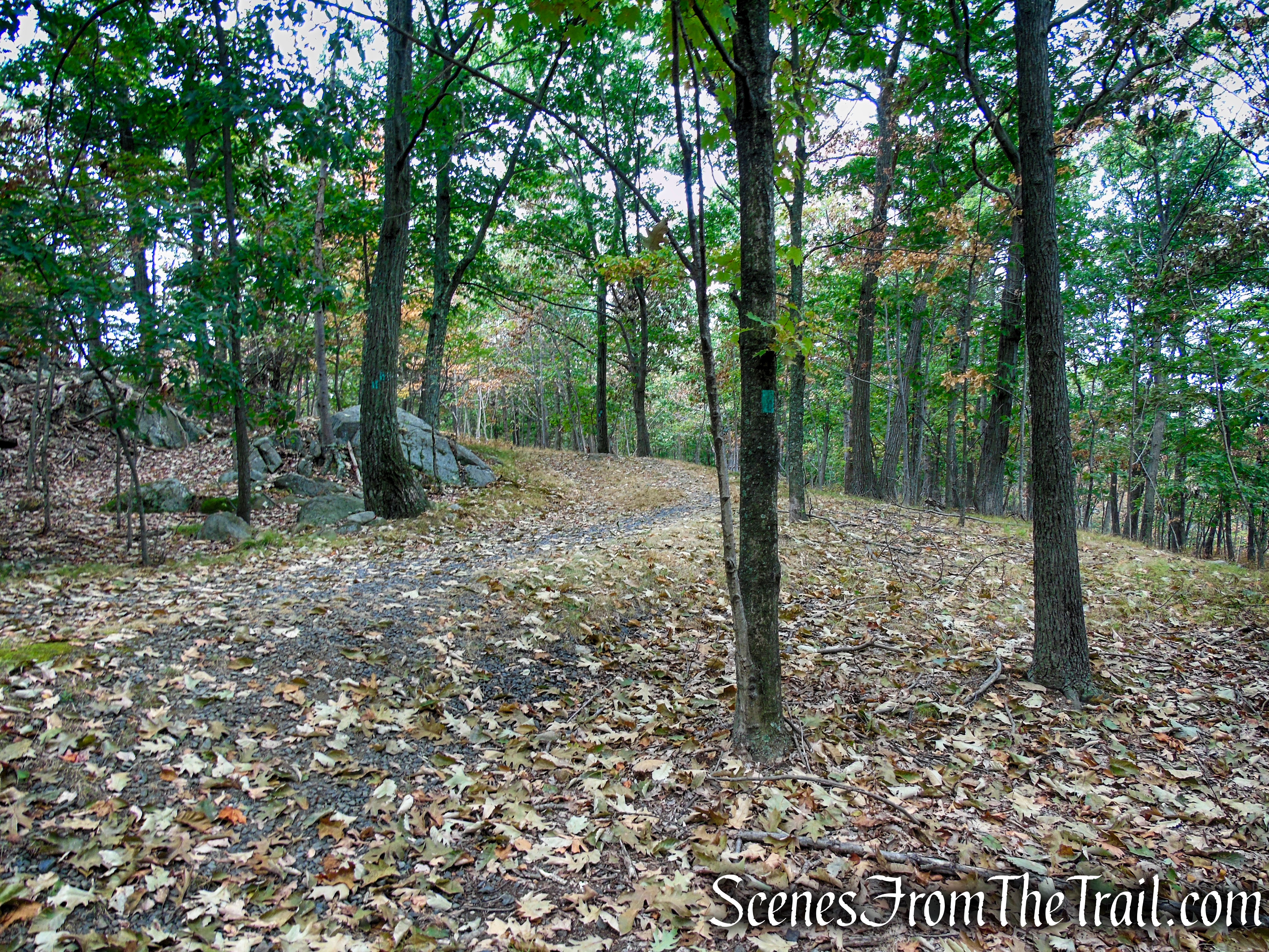 Long Path - South Mountain County Park
