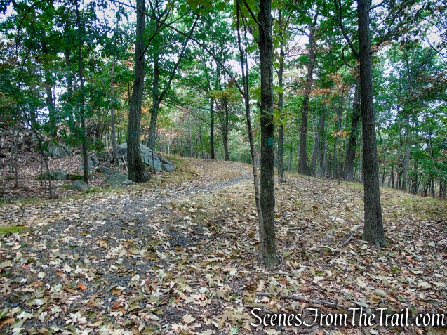 Long Path - South Mountain County Park