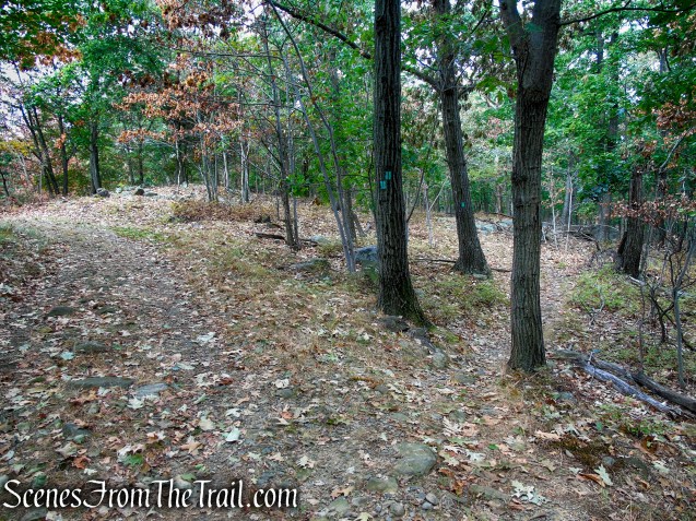 Long Path - South Mountain County Park