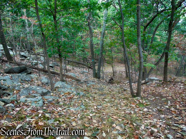 Long Path - South Mountain County Park