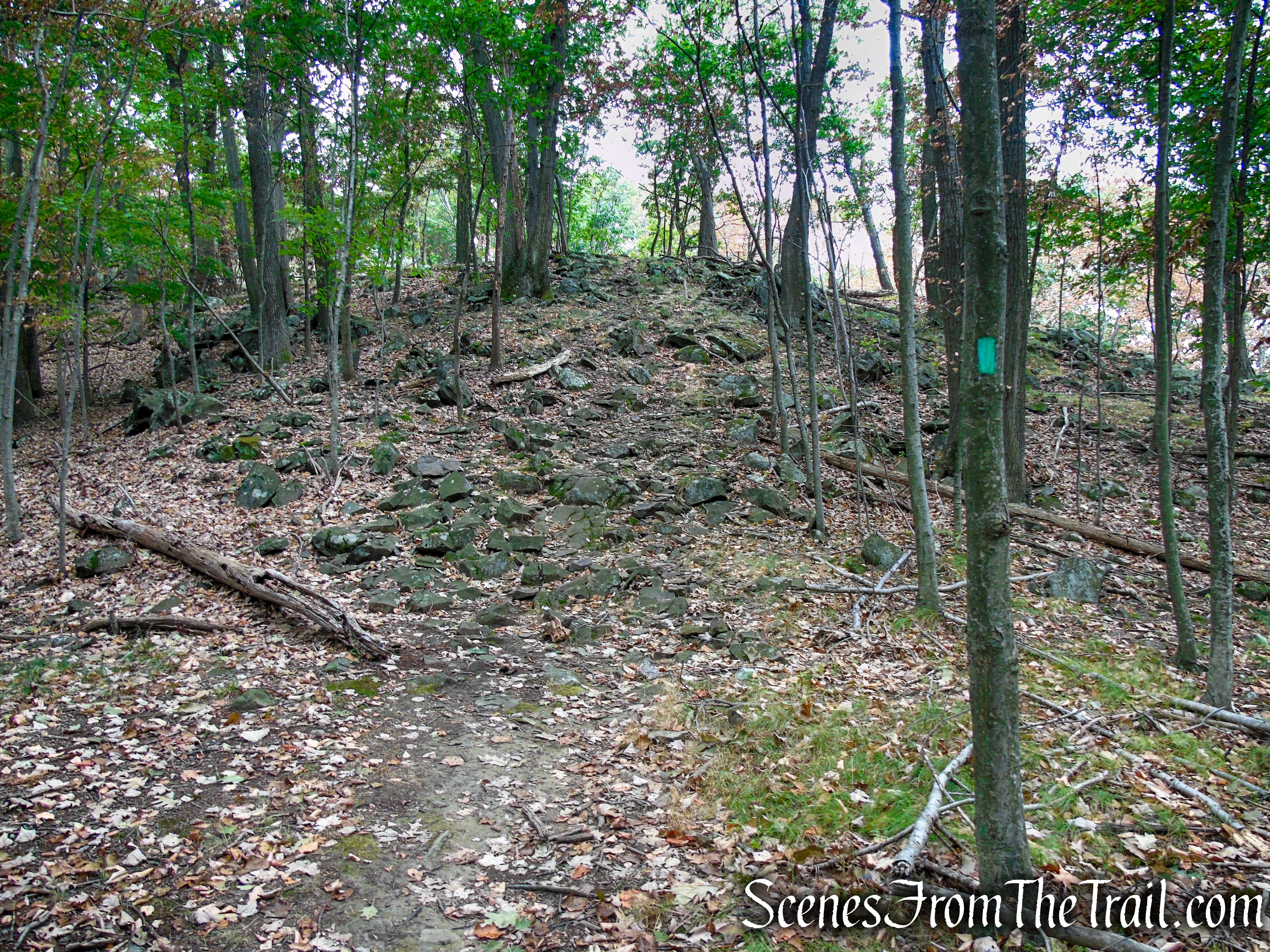 Long Path - South Mountain County Park