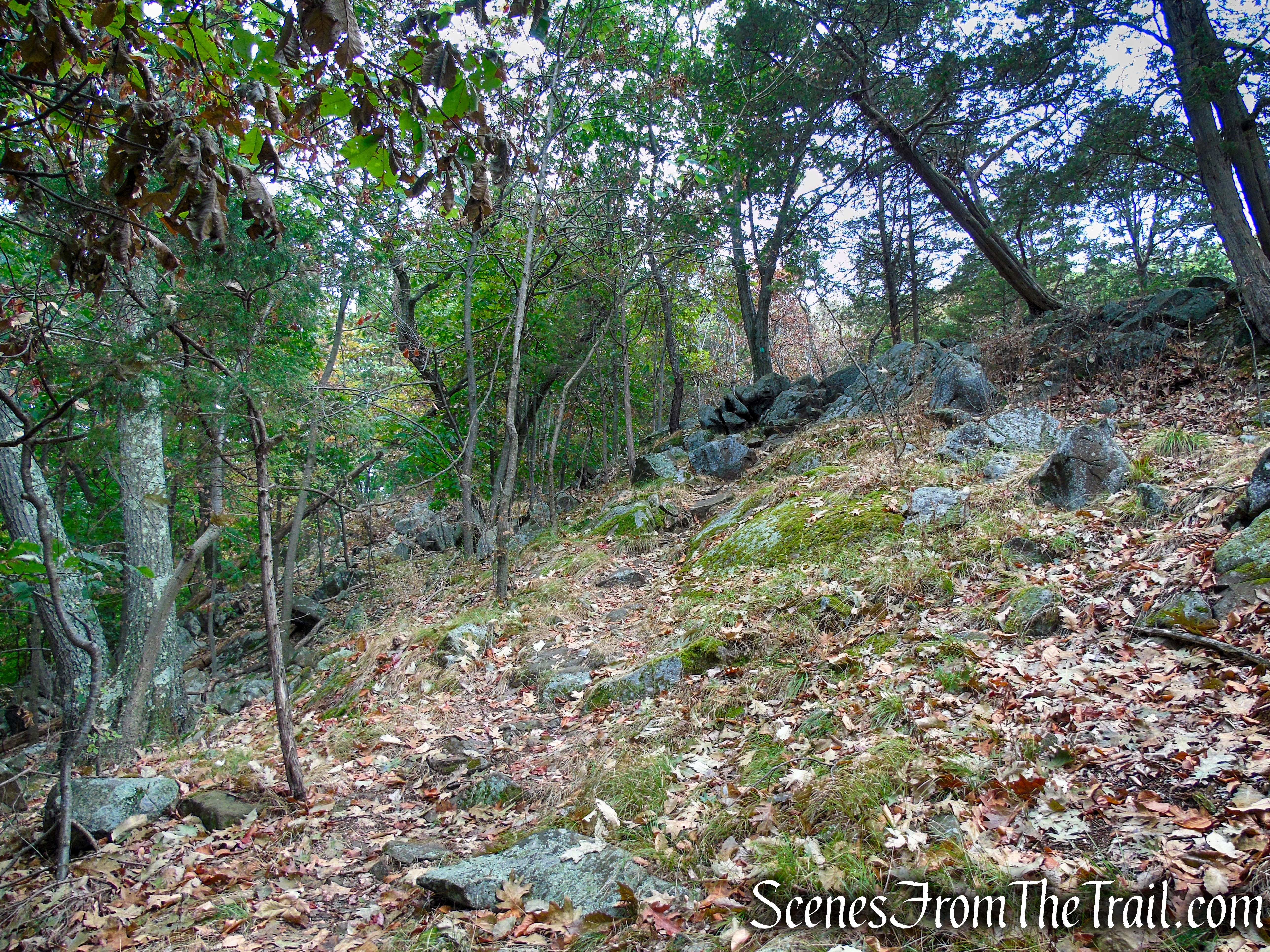 Long Path - South Mountain County Park