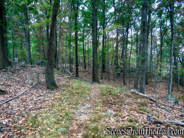 Long Path - South Mountain County Park