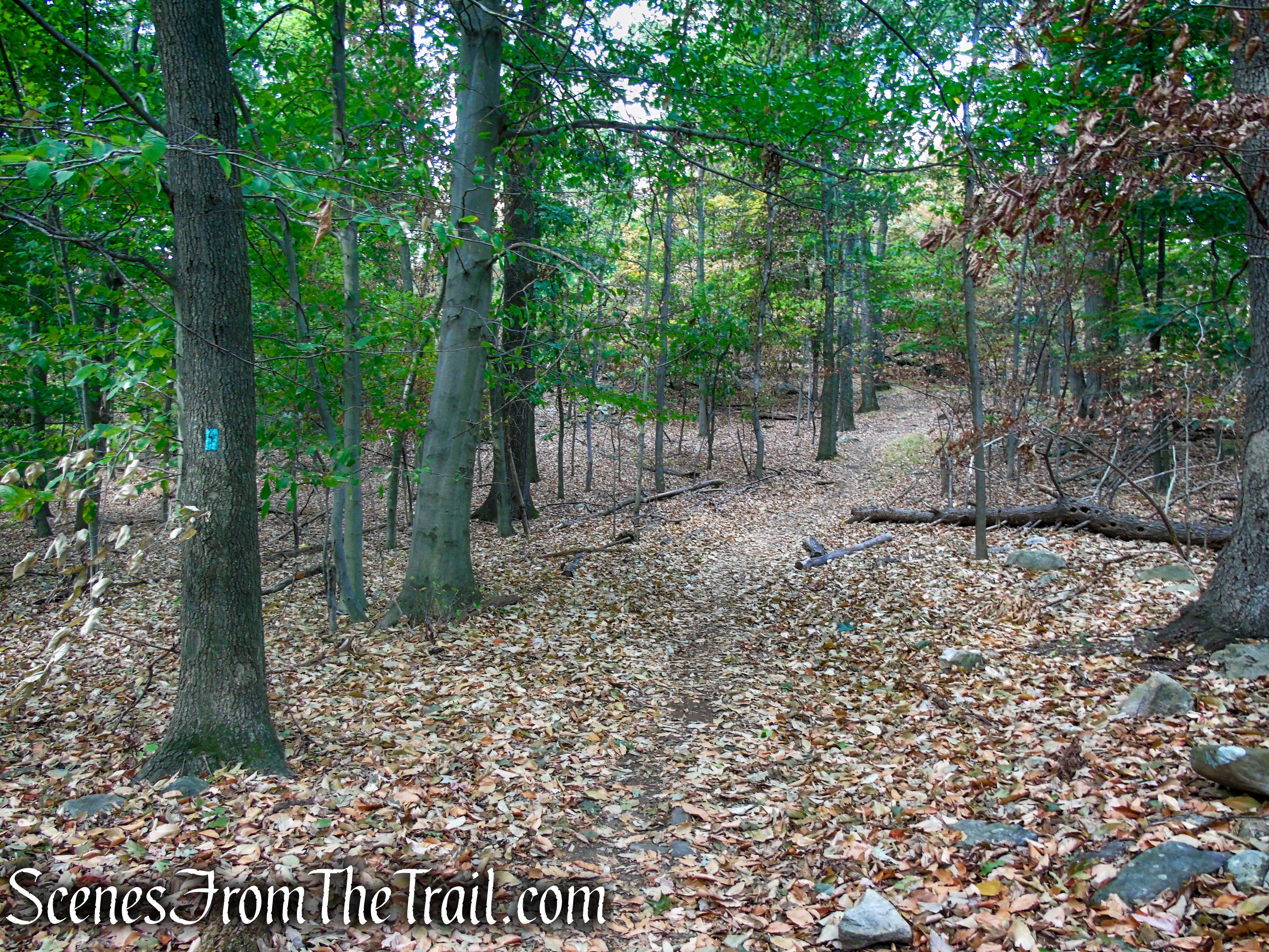 Long Path - South Mountain County Park