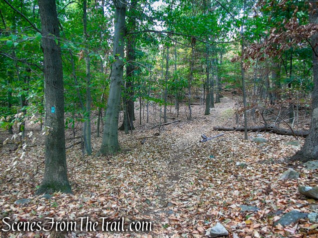 Long Path - South Mountain County Park