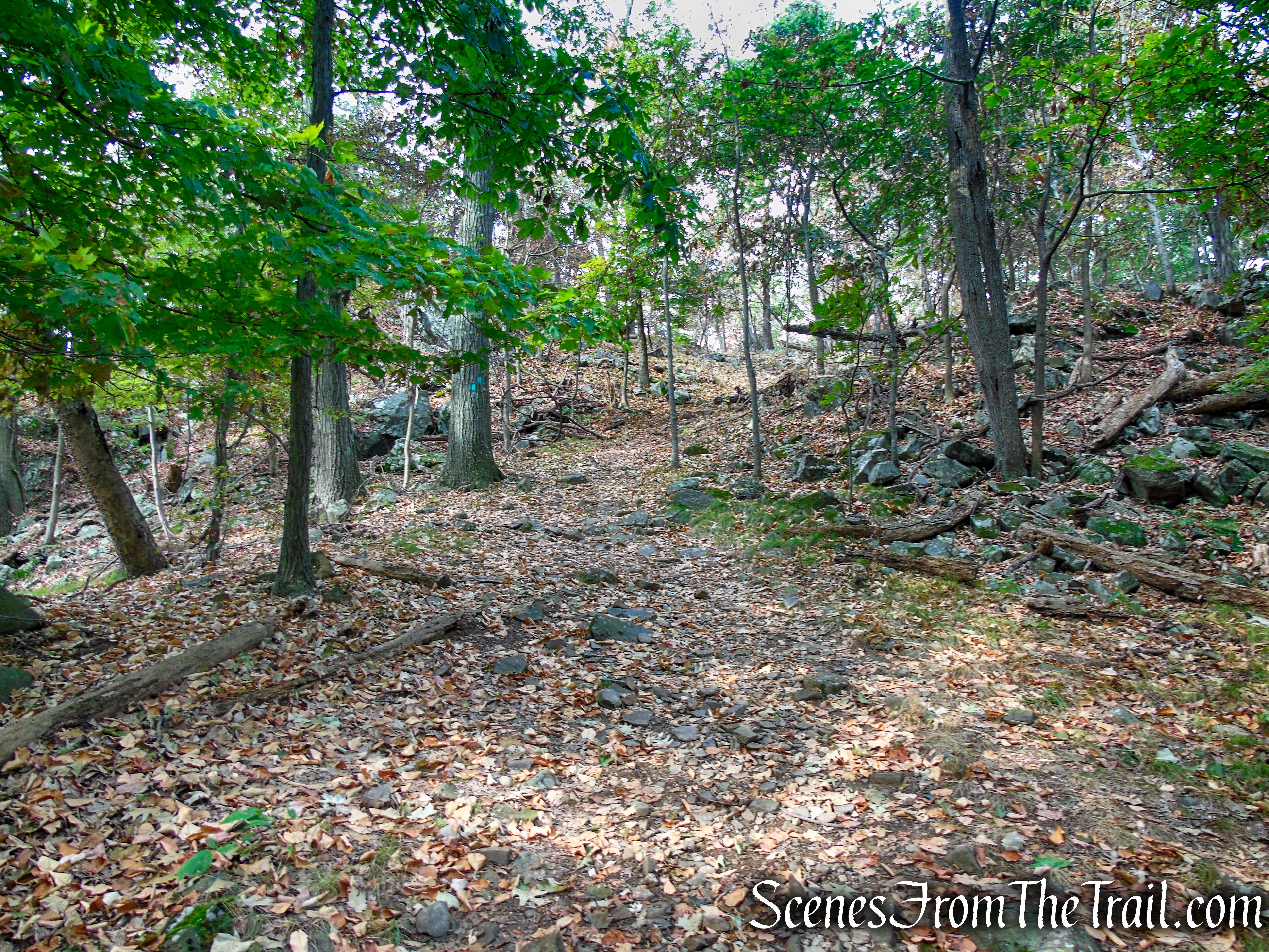 Long Path - South Mountain County Park
