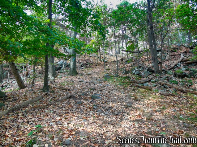 Long Path - South Mountain County Park