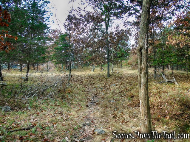 Long Path - South Mountain County Park
