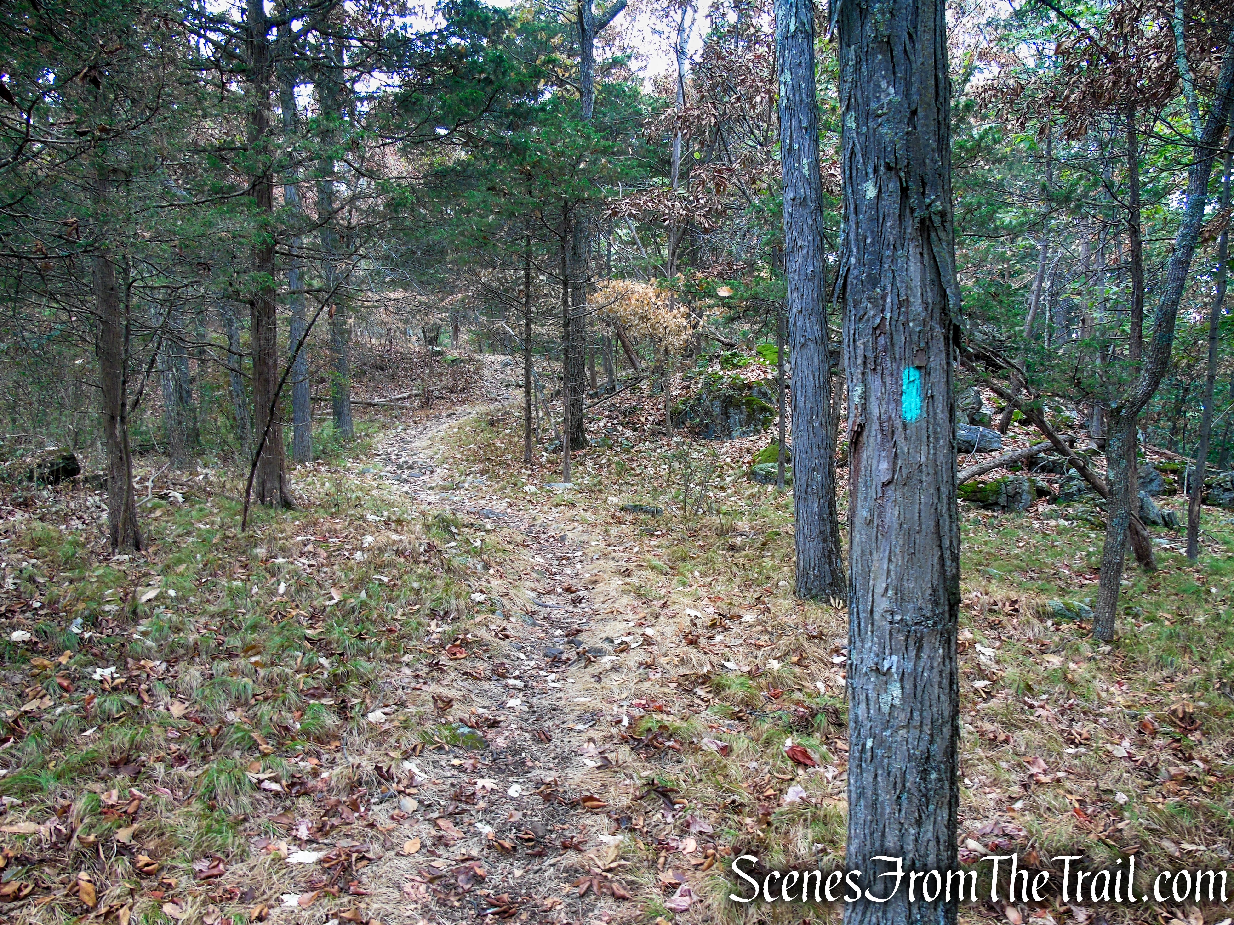 Long Path - South Mountain County Park