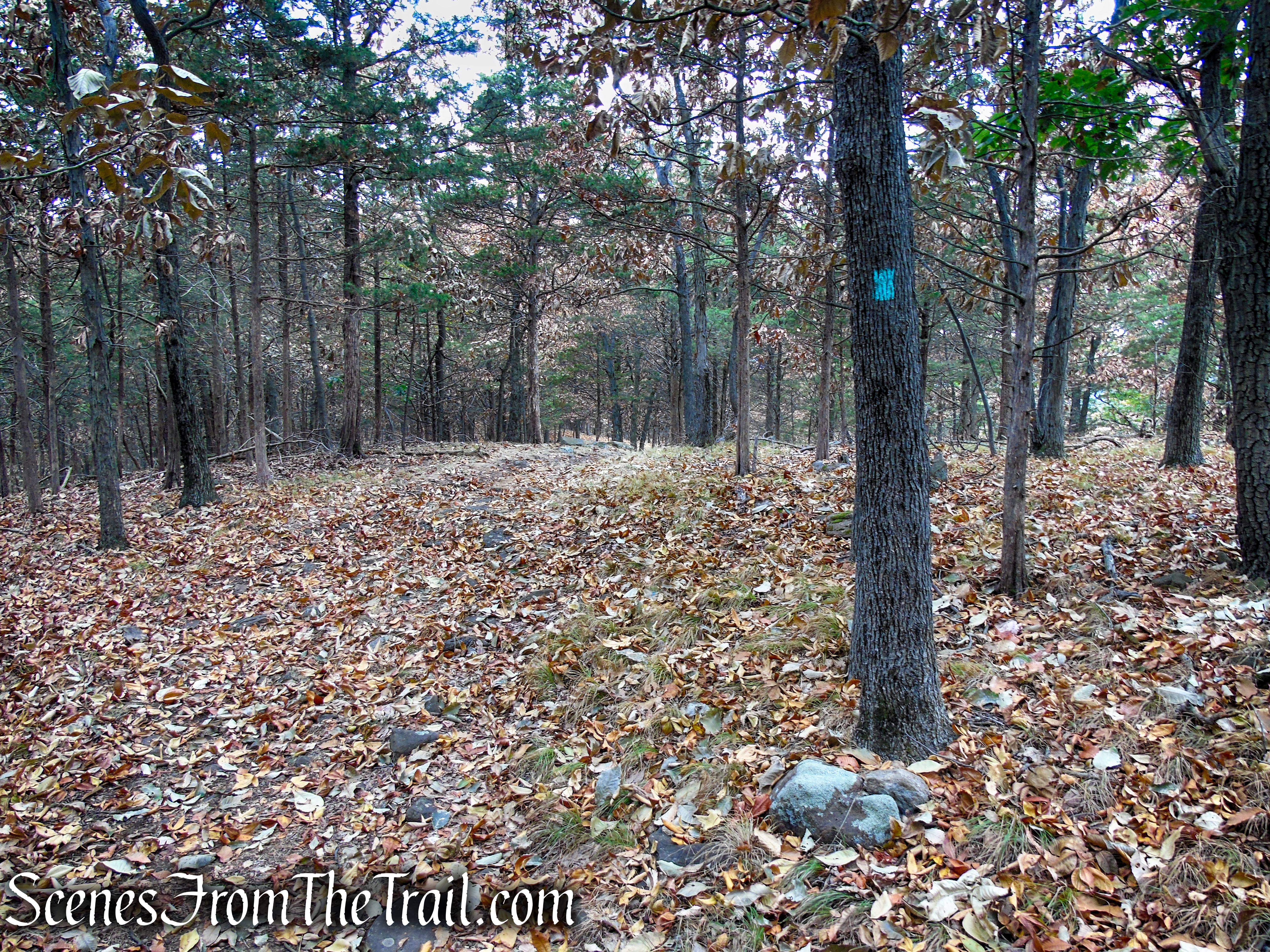 Long Path - Gurnee County Park
