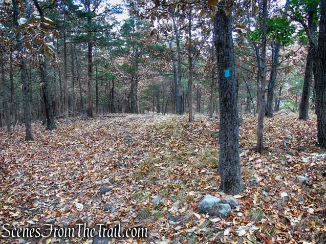Long Path - Gurnee County Park