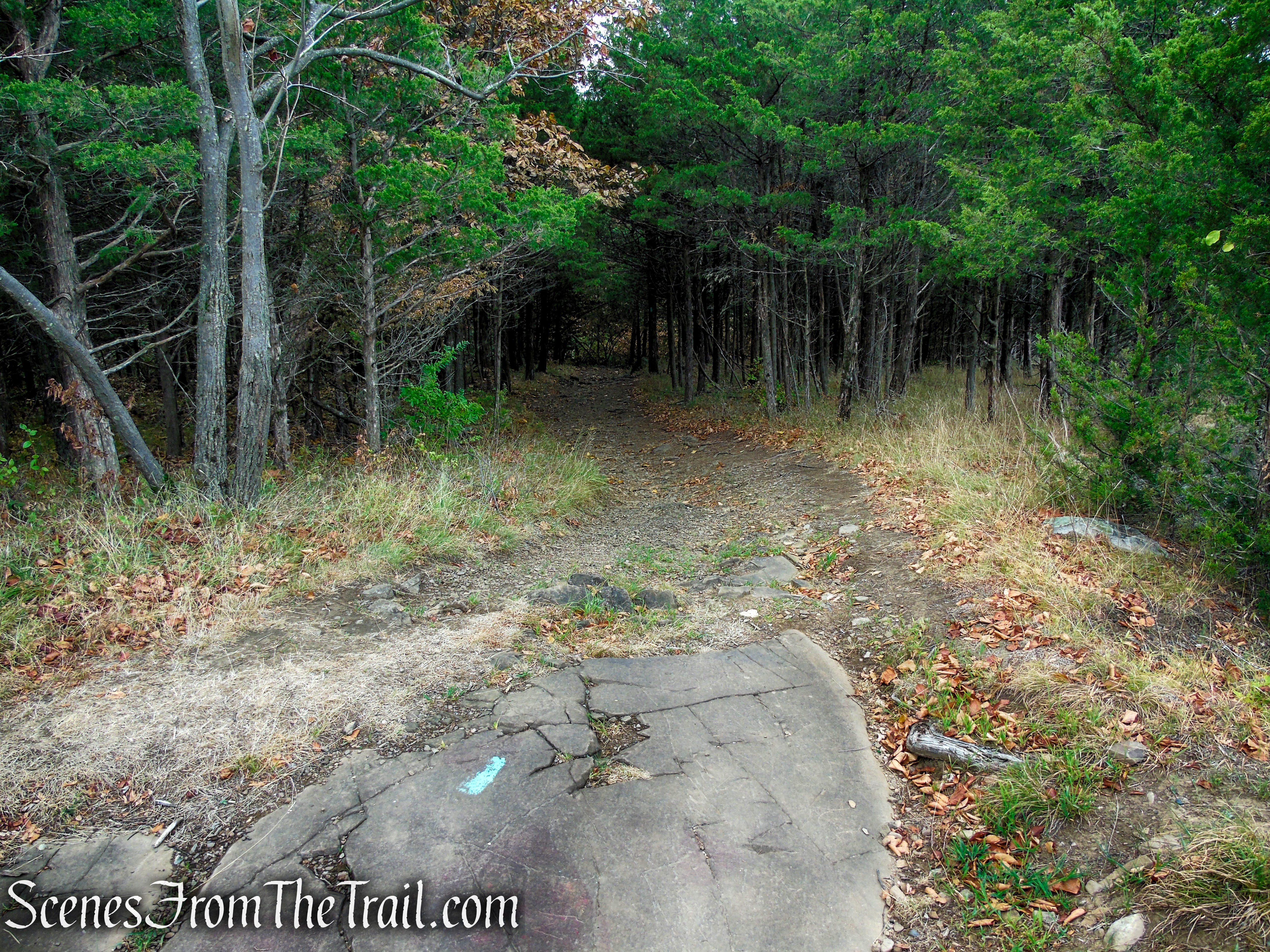 Long Path - Gurnee County Park