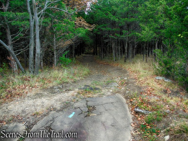 Long Path - Gurnee County Park
