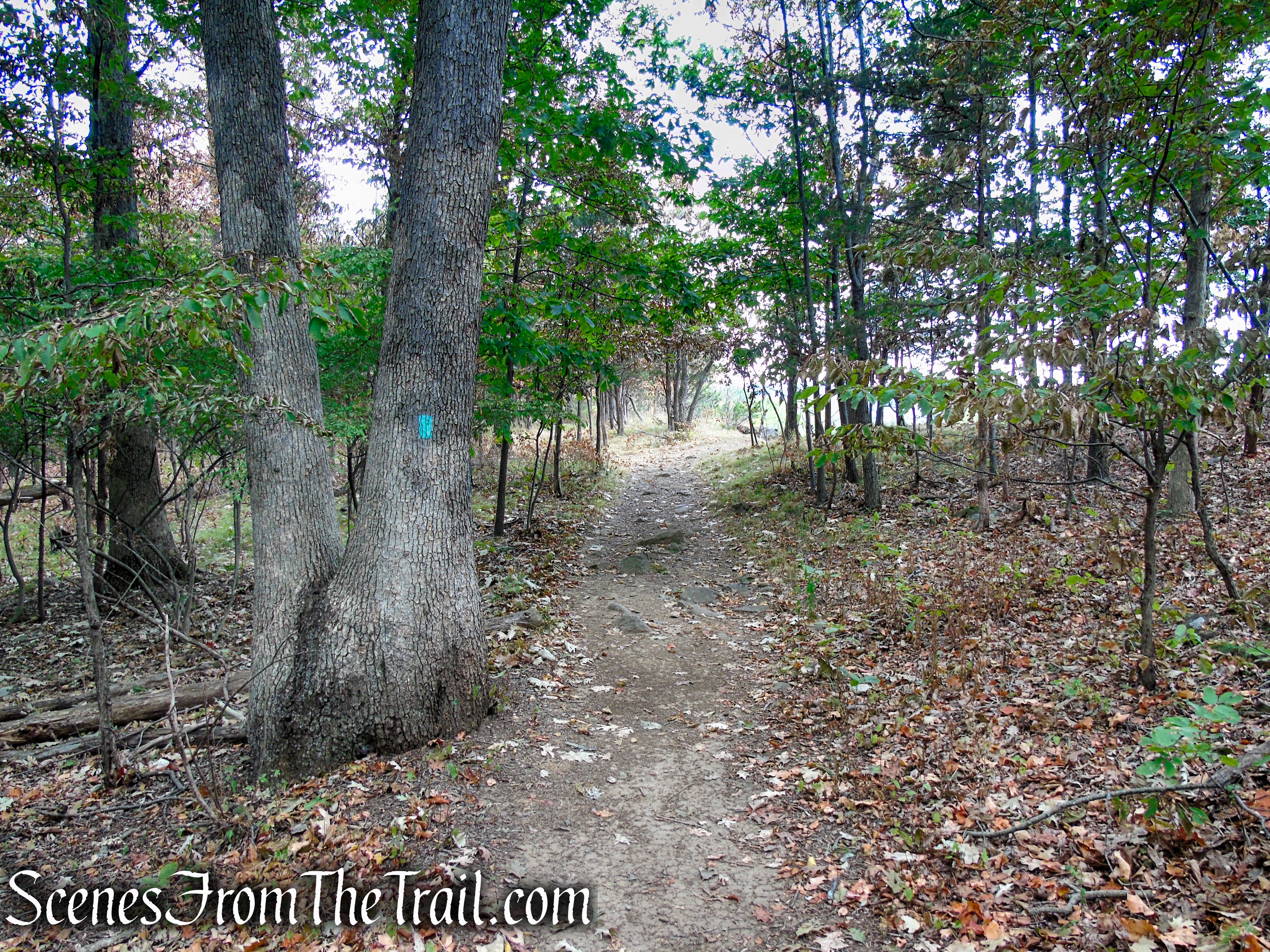 Long Path - Gurnee County Park