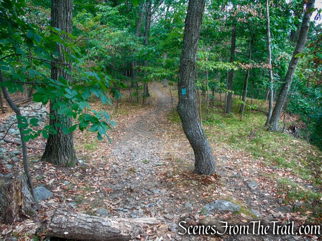 Long Path - Gurnee County Park
