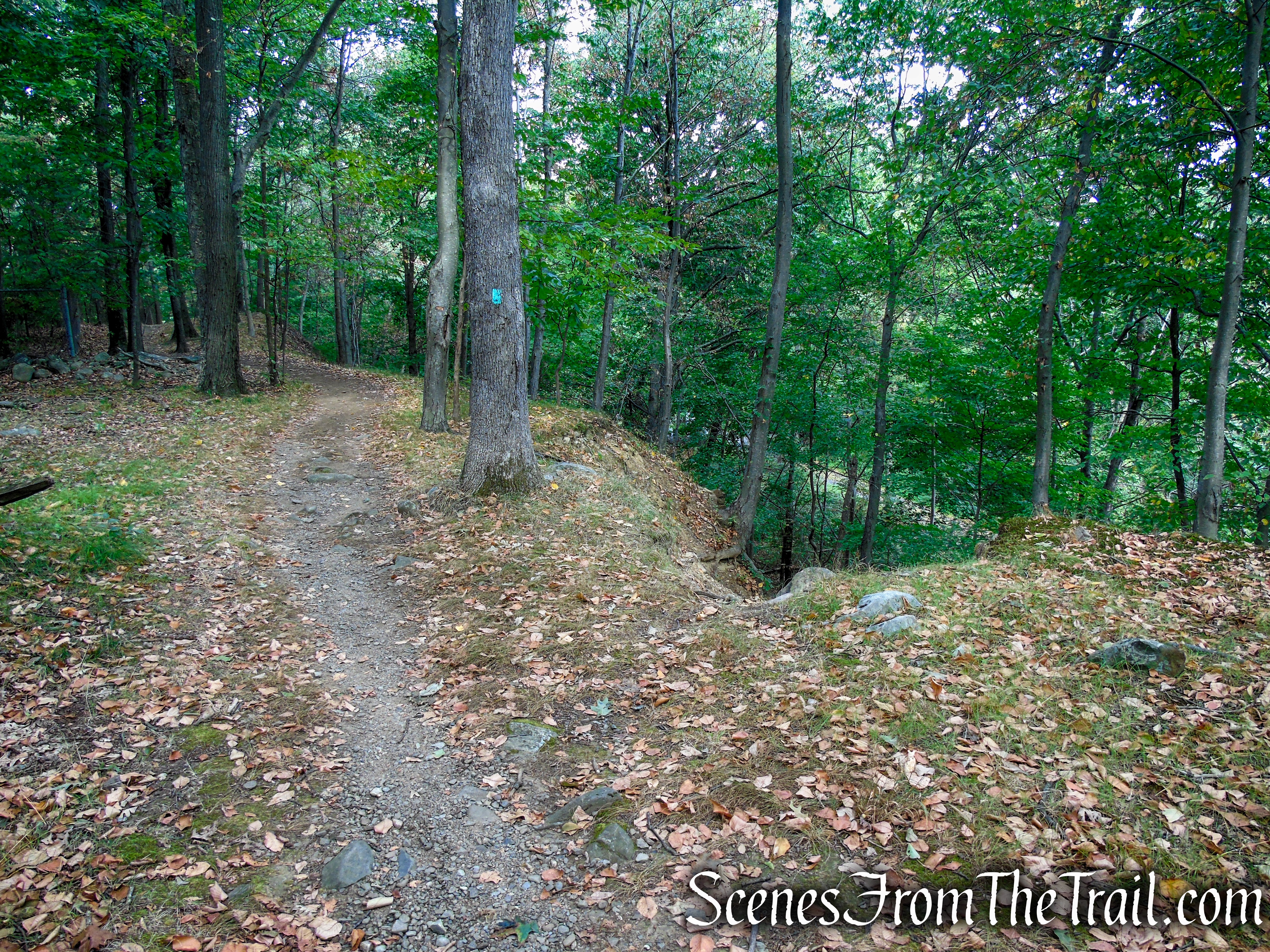 Long Path - Gurnee County Park