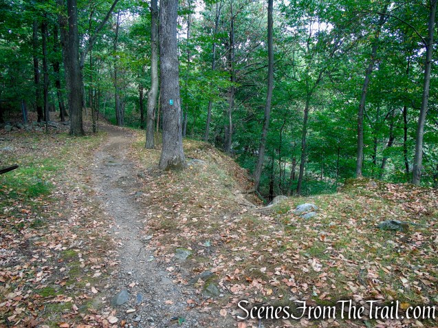 Long Path - Gurnee County Park