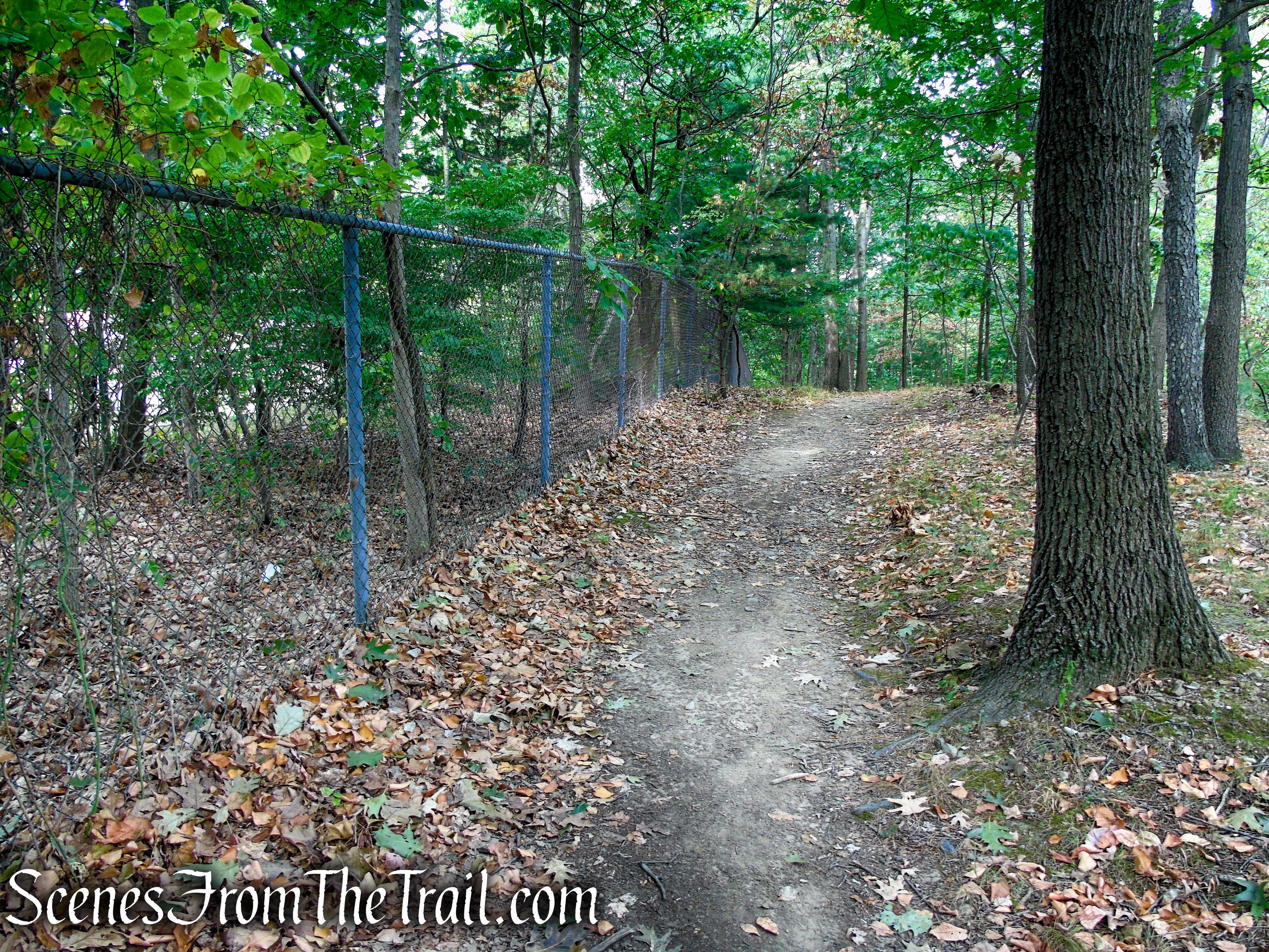 Long Path - Gurnee County Park