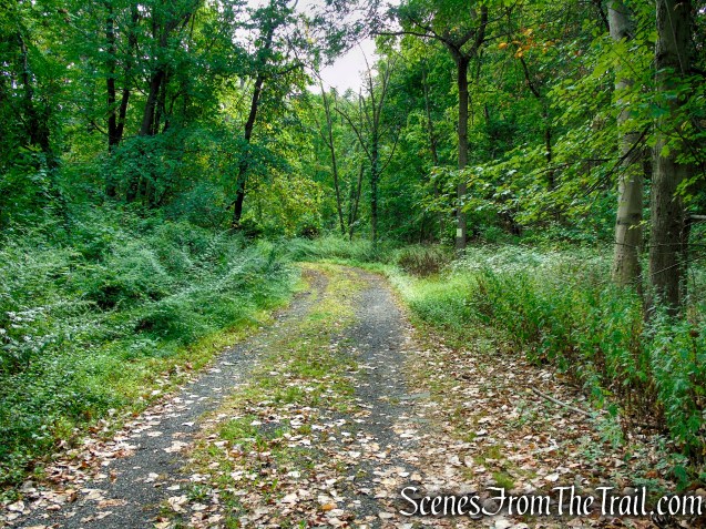 Gurnee County Park and Amphitheater