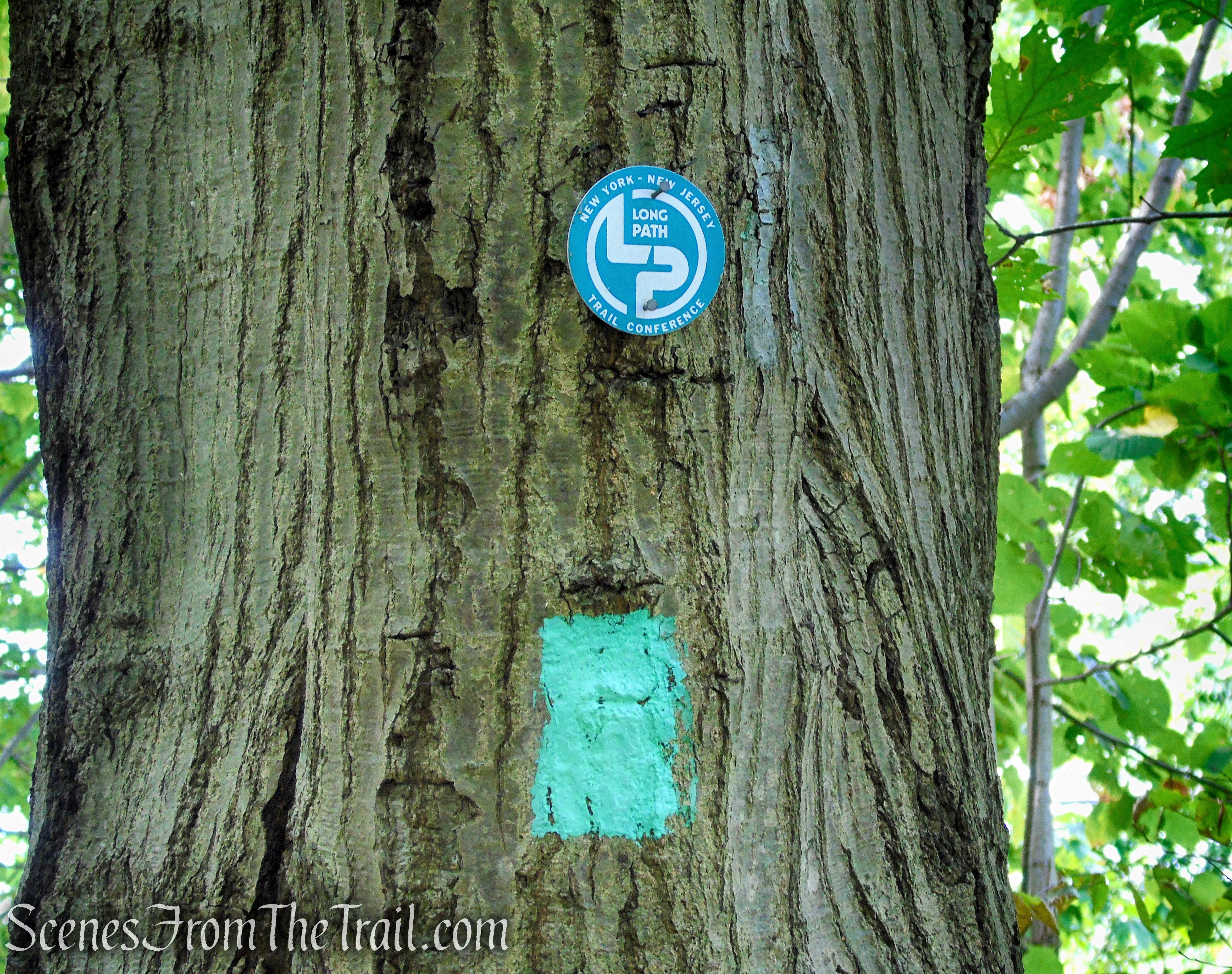 Long Path - South Mountain County Park