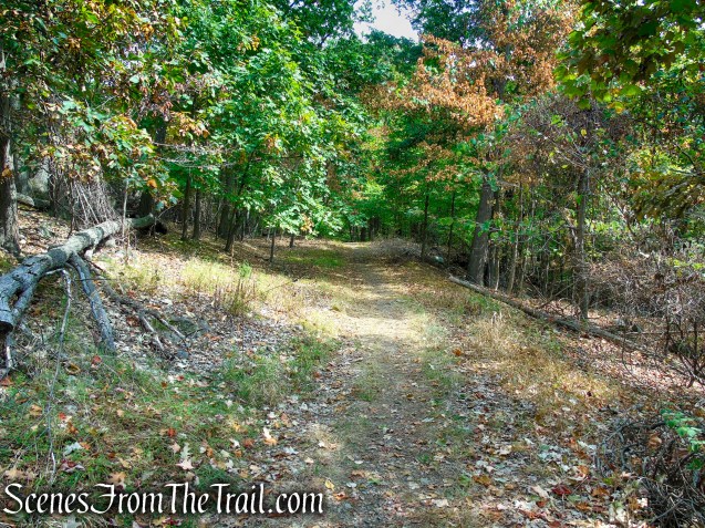 woods road - South Mountain County Park