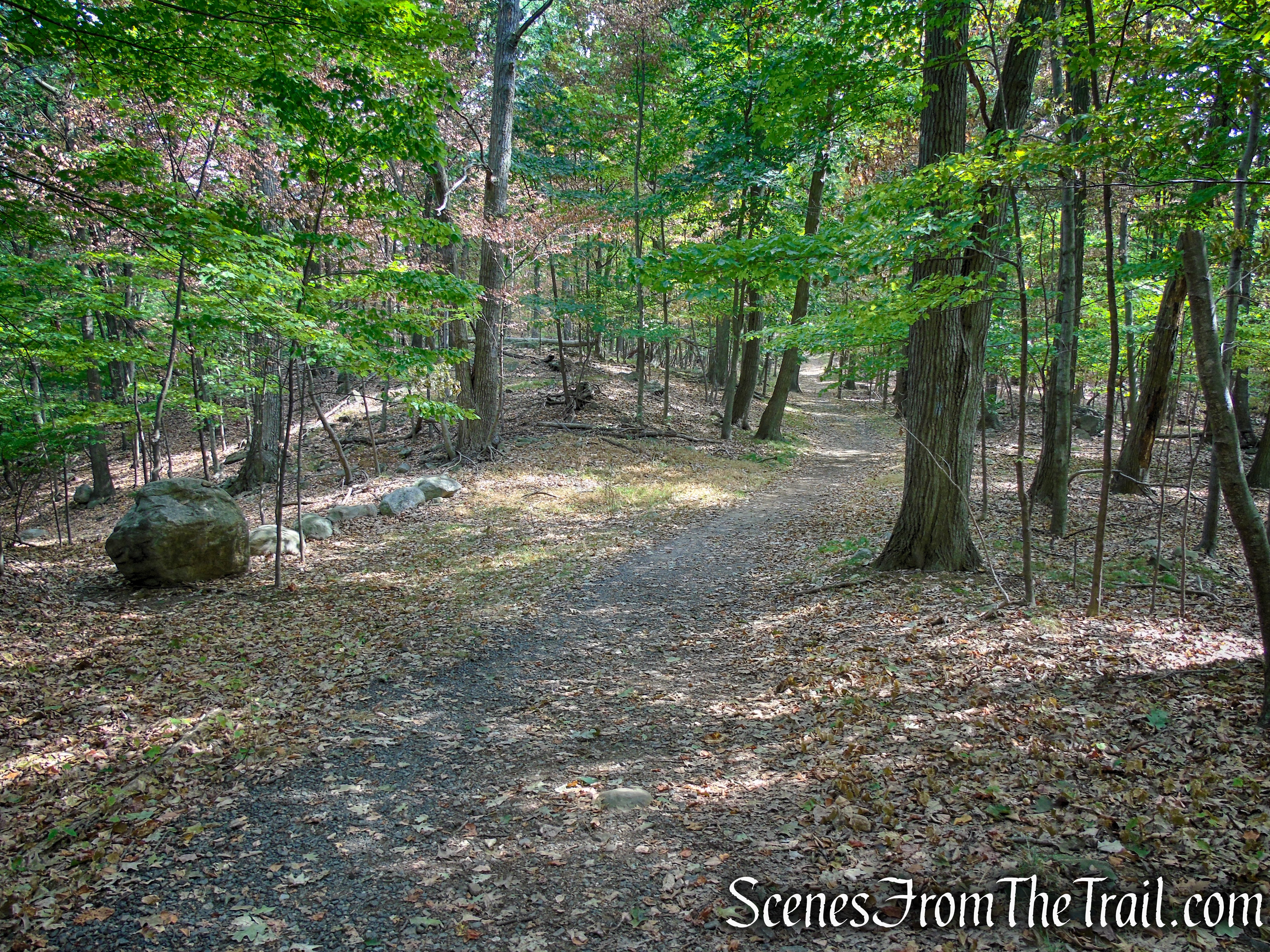 woods road - South Mountain County Park