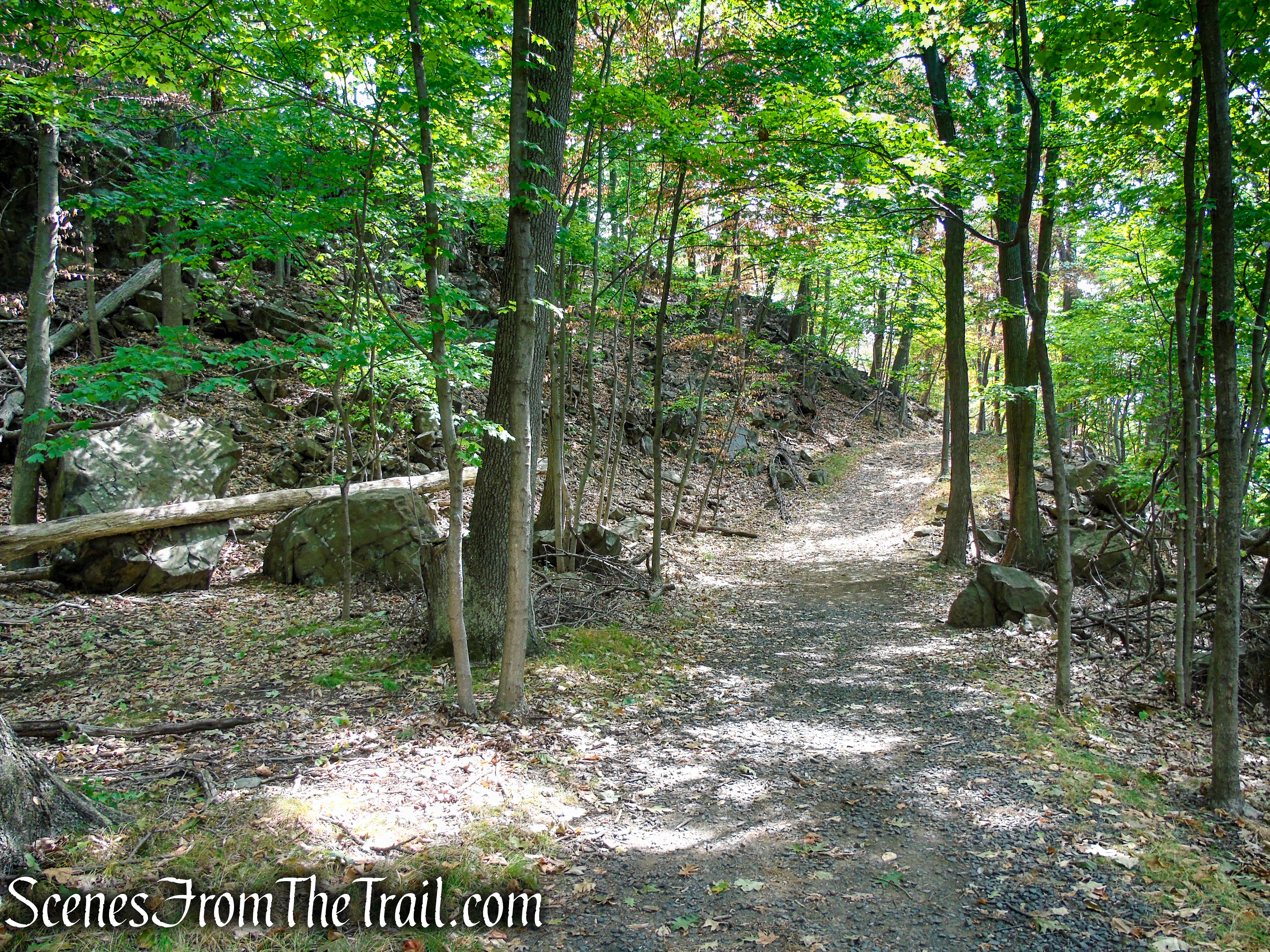 woods road - South Mountain County Park