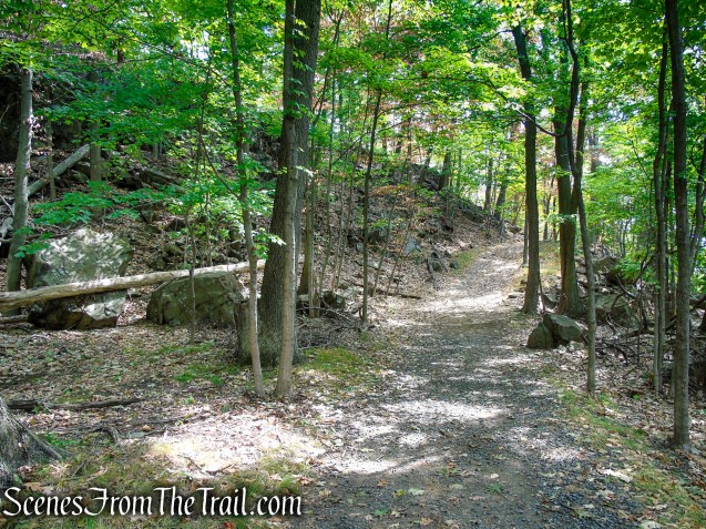 woods road - South Mountain County Park