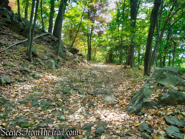 woods road - South Mountain County Park