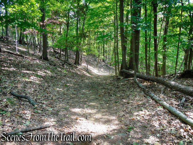 woods road - South Mountain County Park