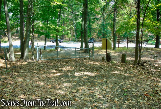 woods road - South Mountain County Park